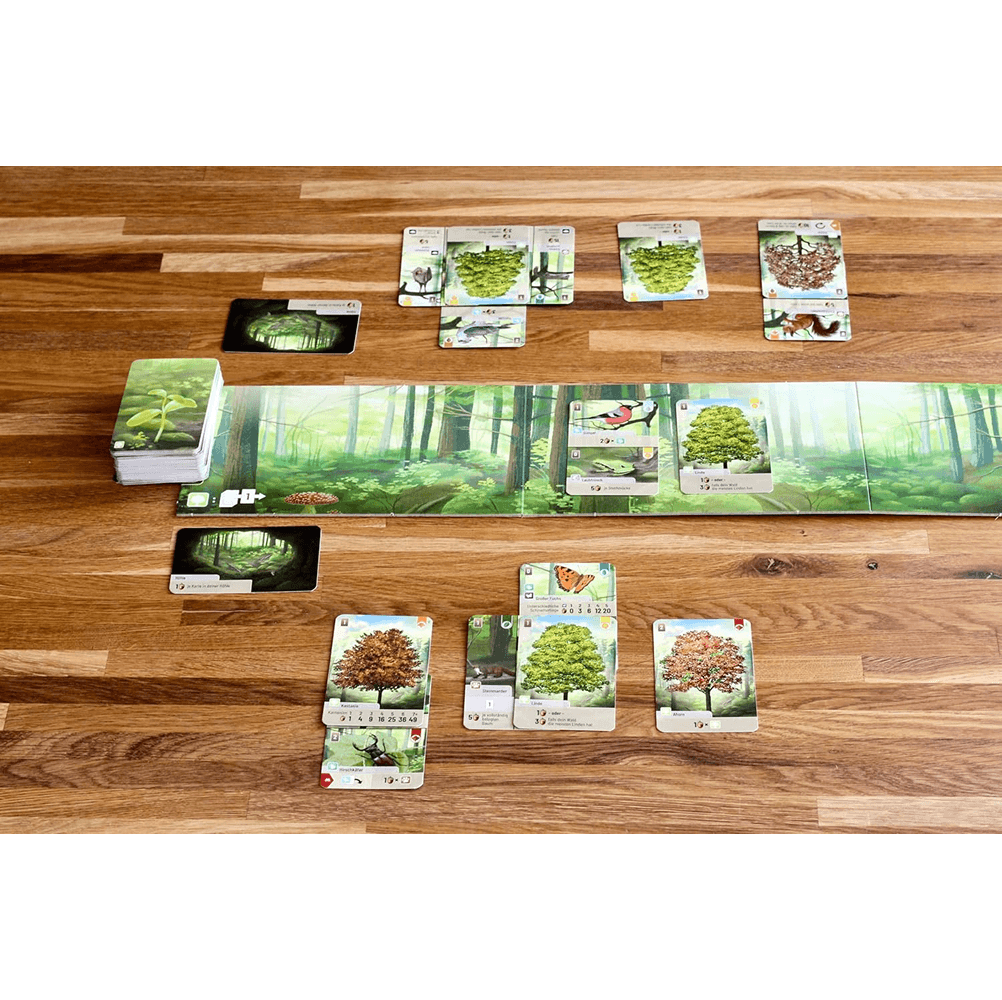 Forest Shuffle award-winning nature strategy card game