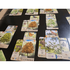 Forest Shuffle strategy board game for 2 to 5 players