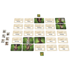 Codenames Duet word cards key cards and tokens – cooperative word game components India
