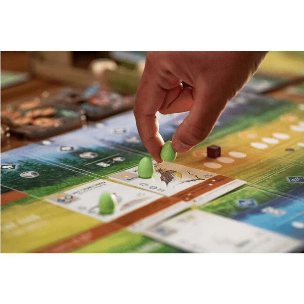 Wingspan