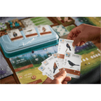 Wingspan game in play – family and solo strategy board game India